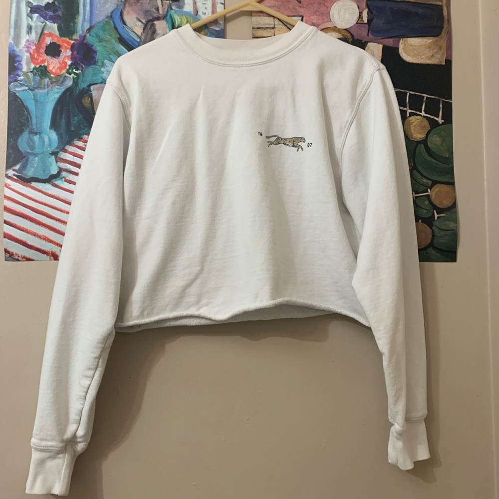 Brandy Melville cropped long sleeve